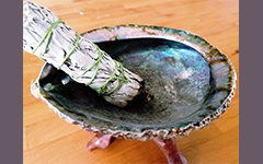 Sage and Abalone Shell